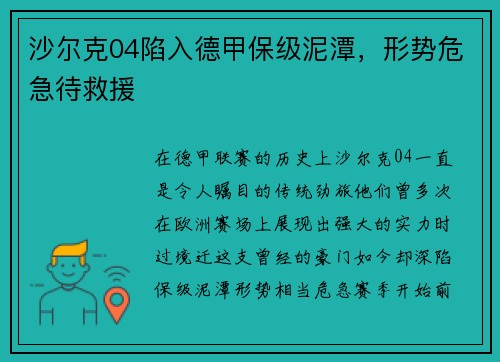 沙尔克04陷入德甲保级泥潭，形势危急待救援